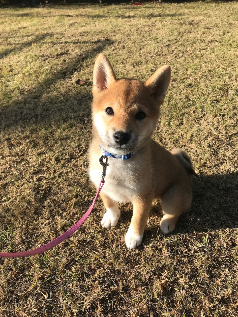キャプションがありません。